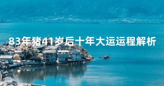 83年猪41岁后十年大运运程解析