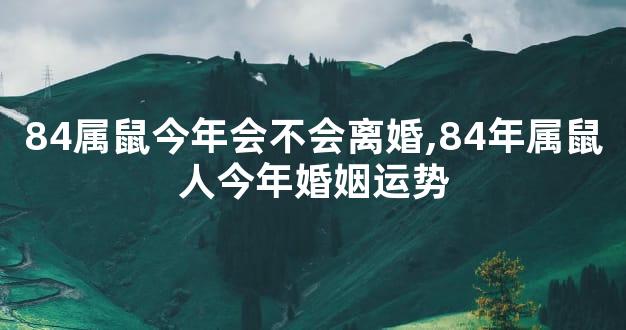 84属鼠今年会不会离婚,84年属鼠人今年婚姻运势
