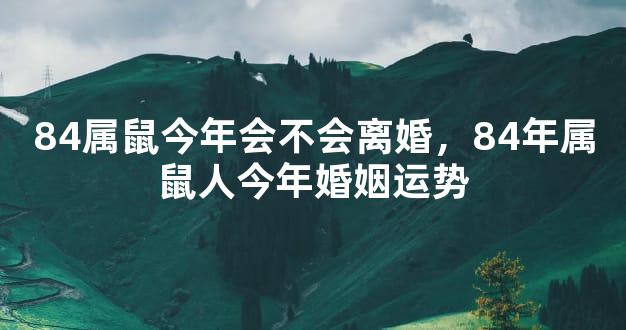 84属鼠今年会不会离婚，84年属鼠人今年婚姻运势