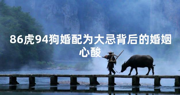 86虎94狗婚配为大忌背后的婚姻心酸