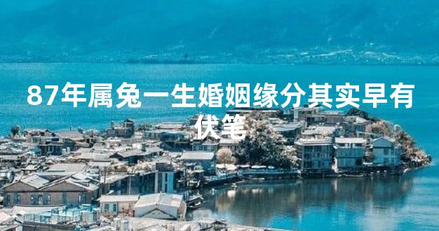 87年属兔一生婚姻缘分其实早有伏笔