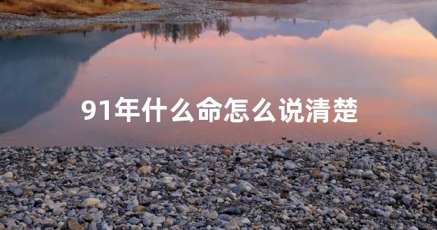 91年什么命怎么说清楚