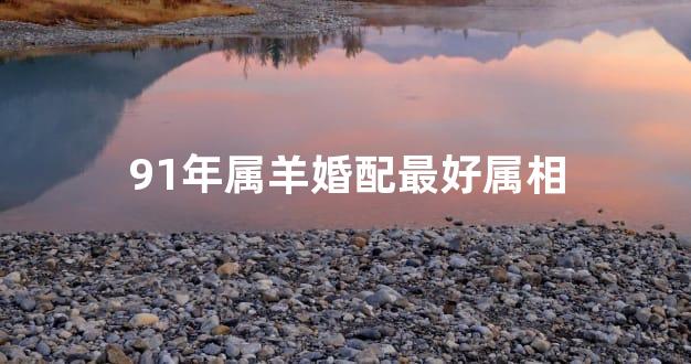 91年属羊婚配最好属相