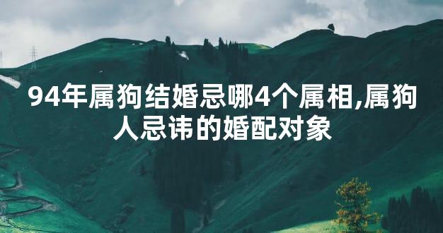 94年属狗结婚忌哪4个属相,属狗人忌讳的婚配对象