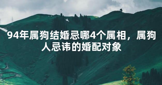 94年属狗结婚忌哪4个属相，属狗人忌讳的婚配对象