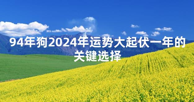 94年狗2024年运势大起伏一年的关键选择