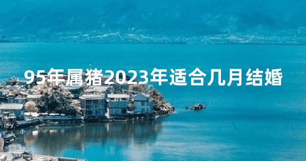 95年属猪2023年适合几月结婚