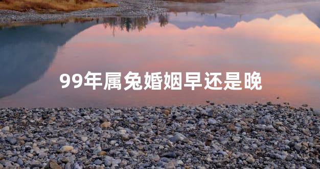 99年属兔婚姻早还是晚