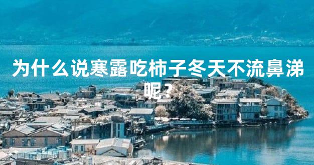 为什么说寒露吃柿子冬天不流鼻涕呢？