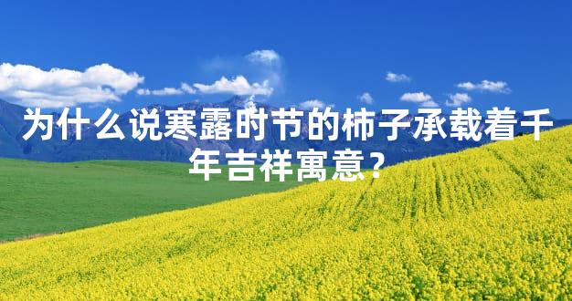 为什么说寒露时节的柿子承载着千年吉祥寓意？
