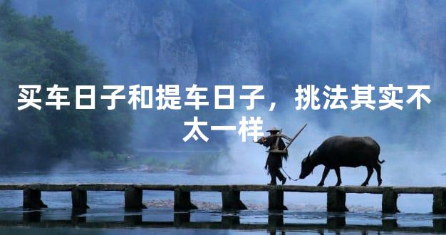 买车日子和提车日子，挑法其实不太一样