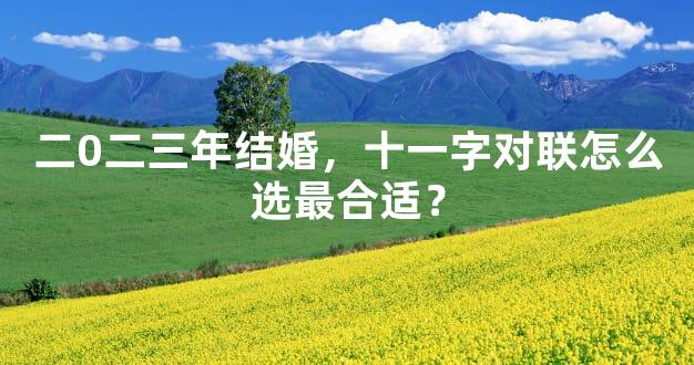 二0二三年结婚，十一字对联怎么选最合适？