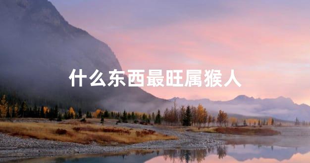 什么东西最旺属猴人