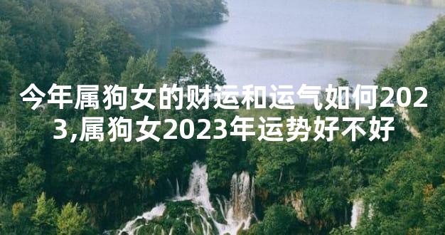 今年属狗女的财运和运气如何2023,属狗女2023年运势好不好