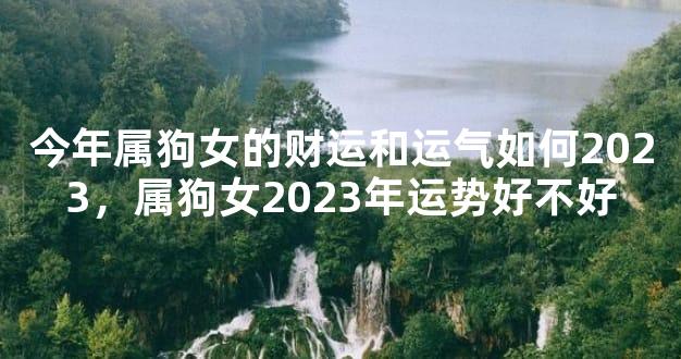 今年属狗女的财运和运气如何2023，属狗女2023年运势好不好