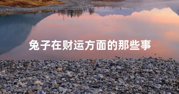 兔子在财运方面的那些事