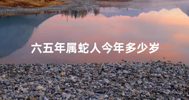 六五年属蛇人今年多少岁