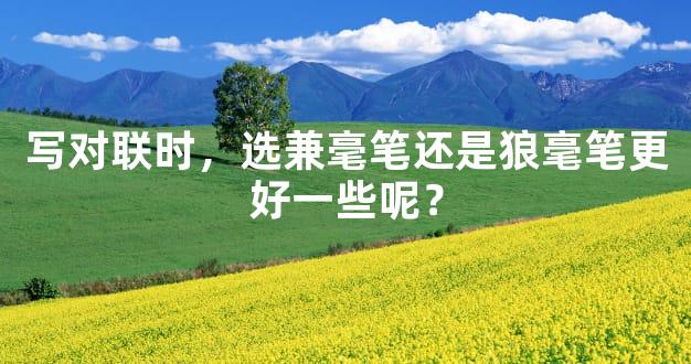 写对联时，选兼毫笔还是狼毫笔更好一些呢？