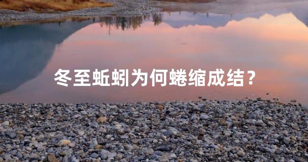 冬至蚯蚓为何蜷缩成结？