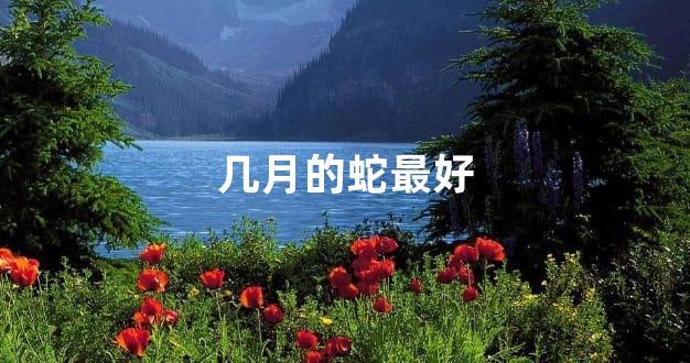几月的蛇最好