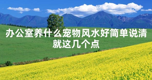 办公室养什么宠物风水好简单说清就这几个点