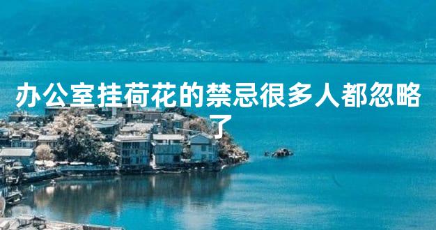 办公室挂荷花的禁忌很多人都忽略了