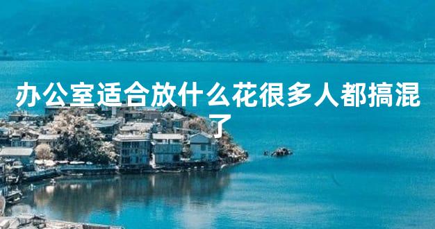 办公室适合放什么花很多人都搞混了