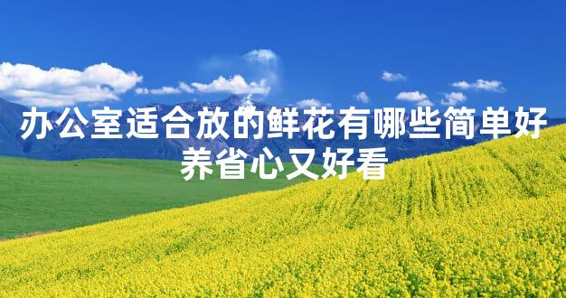 办公室适合放的鲜花有哪些简单好养省心又好看