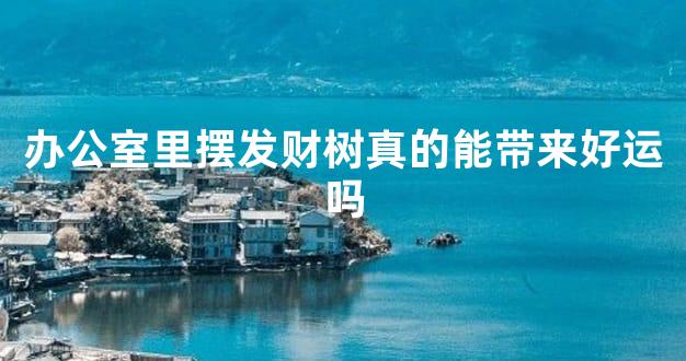 办公室里摆发财树真的能带来好运吗