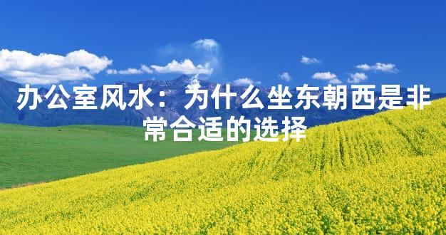 办公室风水：为什么坐东朝西是非常合适的选择