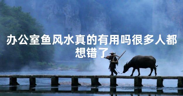 办公室鱼风水真的有用吗很多人都想错了