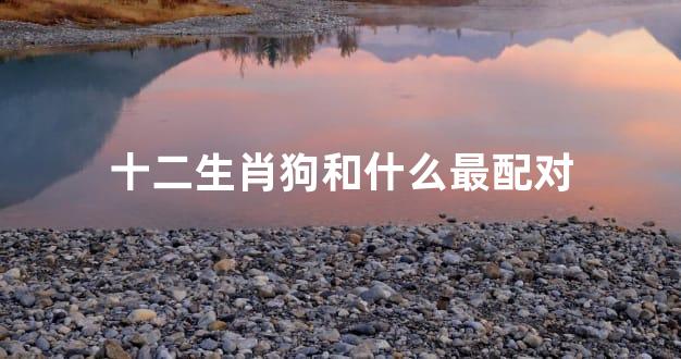 十二生肖狗和什么最配对