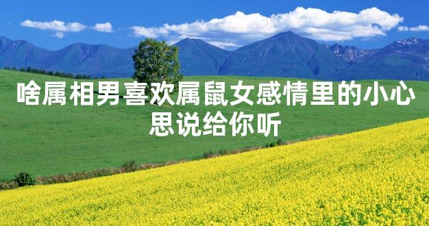 啥属相男喜欢属鼠女感情里的小心思说给你听