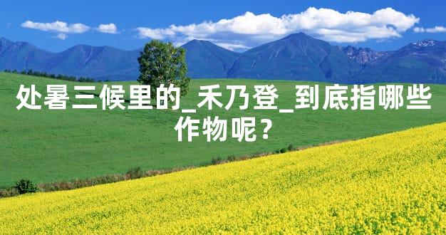 处暑三候里的_禾乃登_到底指哪些作物呢？