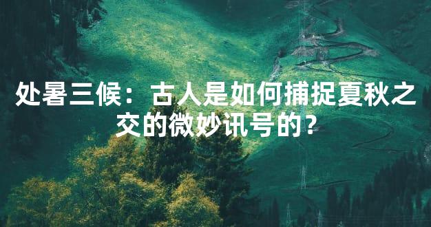处暑三候：古人是如何捕捉夏秋之交的微妙讯号的？