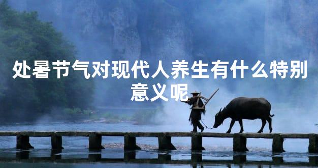 处暑节气对现代人养生有什么特别意义呢