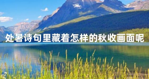 处暑诗句里藏着怎样的秋收画面呢