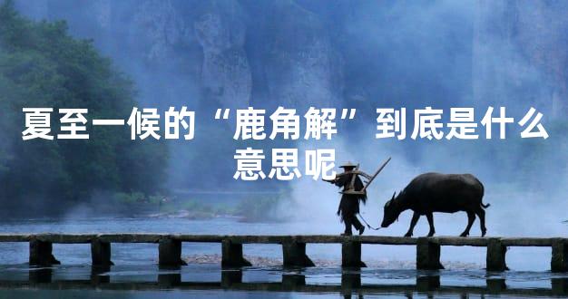 夏至一候的“鹿角解”到底是什么意思呢