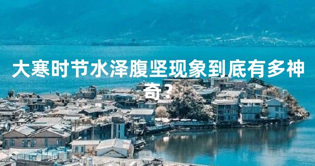 大寒时节水泽腹坚现象到底有多神奇？