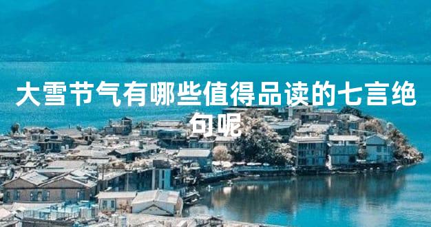大雪节气有哪些值得品读的七言绝句呢