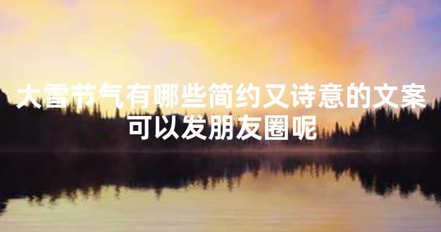 大雪节气有哪些简约又诗意的文案可以发朋友圈呢