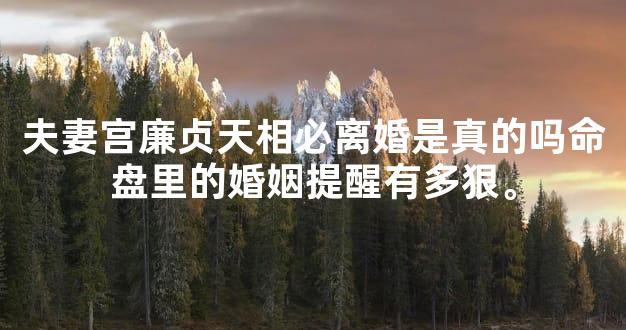 夫妻宫廉贞天相必离婚是真的吗命盘里的婚姻提醒有多狠。