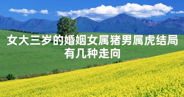 女大三岁的婚姻女属猪男属虎结局有几种走向