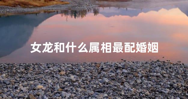 女龙和什么属相最配婚姻