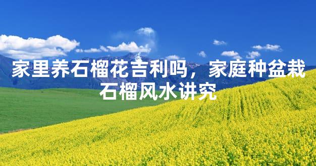 家里养石榴花吉利吗，家庭种盆栽石榴风水讲究