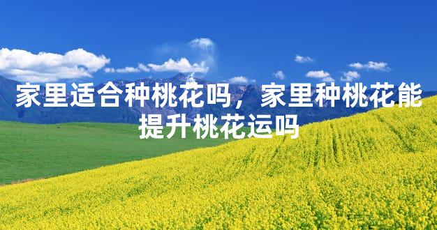 家里适合种桃花吗，家里种桃花能提升桃花运吗