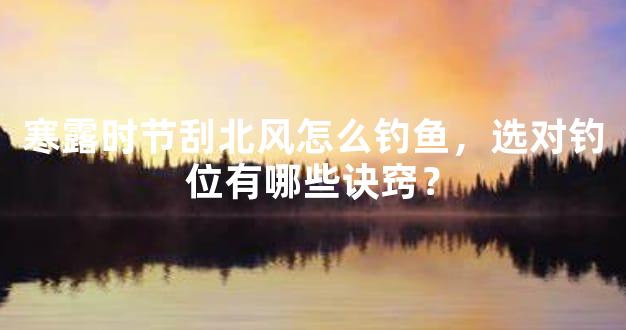 寒露时节刮北风怎么钓鱼，选对钓位有哪些诀窍？
