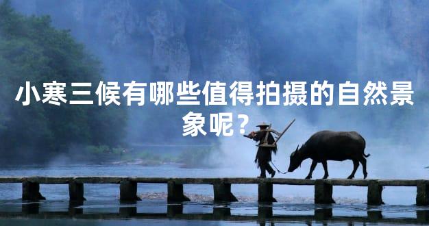 小寒三候有哪些值得拍摄的自然景象呢？