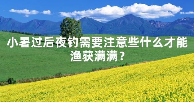 小暑过后夜钓需要注意些什么才能渔获满满？