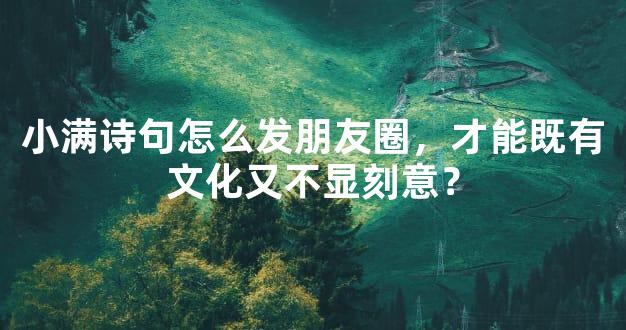 小满诗句怎么发朋友圈，才能既有文化又不显刻意？